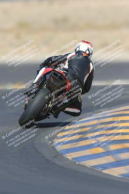 media/May-13-2023-SoCal Trackdays (Sat) [[8a473a8fd1]]/Turn 11 Backside (945am)/